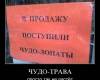 <b>Название: </b>1255090925_1255021918-prikolnye-kartinki-s-podpisjami-75, <b>Добавил:<b> jemes<br>Размеры: 600x563, 51.8 Кб
