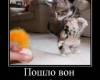 <b>Название: </b>1254168356_6, <b>Добавил:<b> jemes<br>Размеры: 371x400, 25.7 Кб